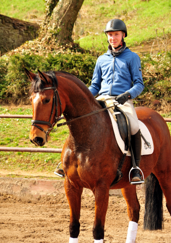  Trakehner Gestt Hmelschenburg - im Mrz 2018 - Foto: Beate Langels