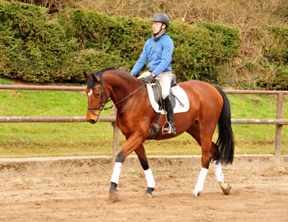  Trakehner Gestt Hmelschenburg - im Mrz 2018 - Foto: Beate Langels