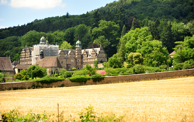 Die Stuten und Fohlen an der Emmer Trakehner Gestt Hmelschenburg - 27. Juni 2018 - Foto: Beate Langels