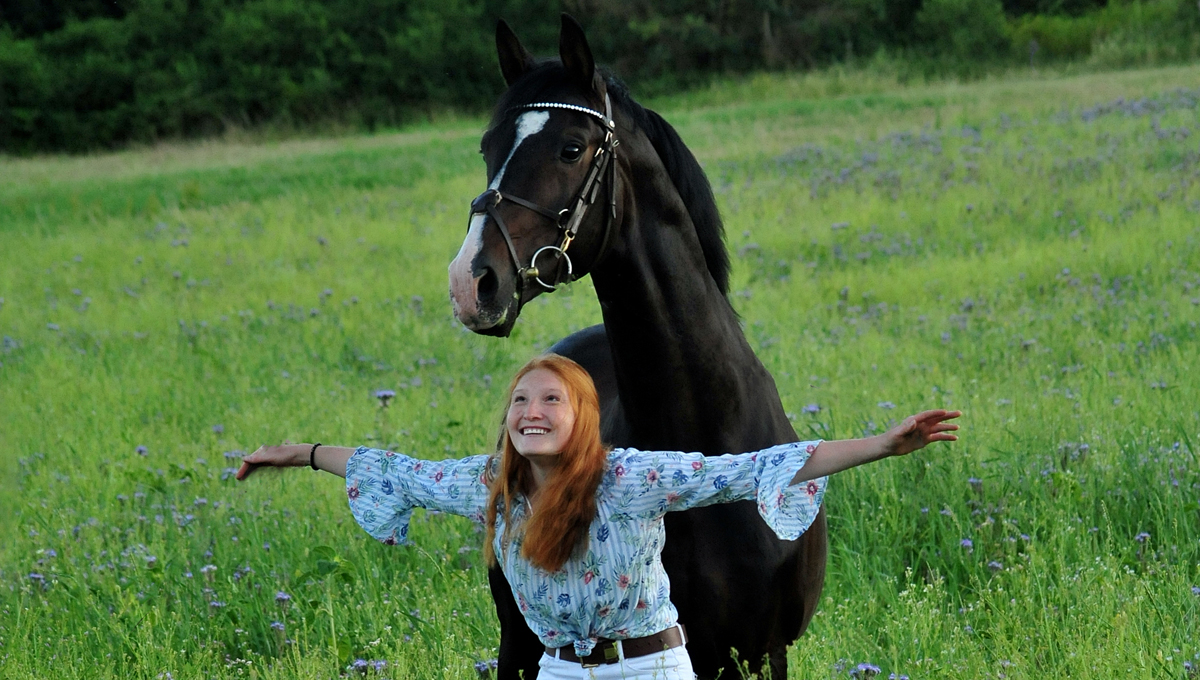 Prmienhengst Shavalou und Johanna - 27. Juni 2019 - Foto: Beate Langels