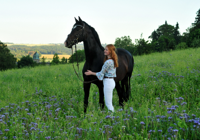 Prmienhengst Shavalou und Johanna - 27. Juni 2019 - Foto: Beate Langels