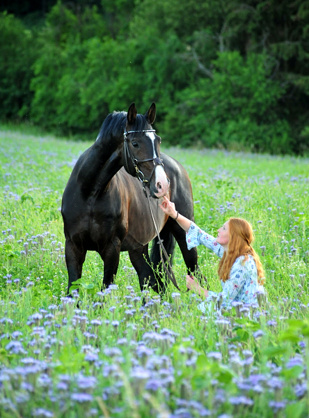 Prmienhengst Shavalou und Johanna - 27. Juni 2019 - Foto: Beate Langels