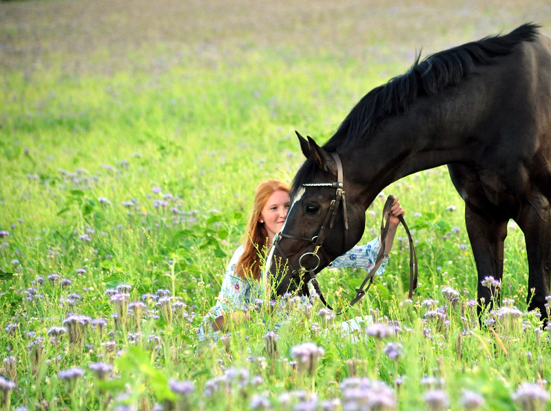 Prmienhengst Shavalou und Johanna - 27. Juni 2019 - Foto: Beate Langels