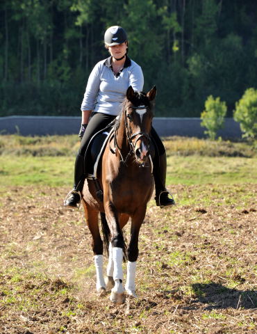 Roxette -Trakehner Stute von Freudenfest u.d. Rominten v. Manrico, Foto: Beate Langels