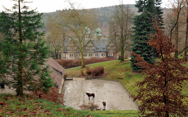 im Dezember 2012, Foto: Beate Langels, Trakehner Gestt Hmelschenburg - Beate Langels