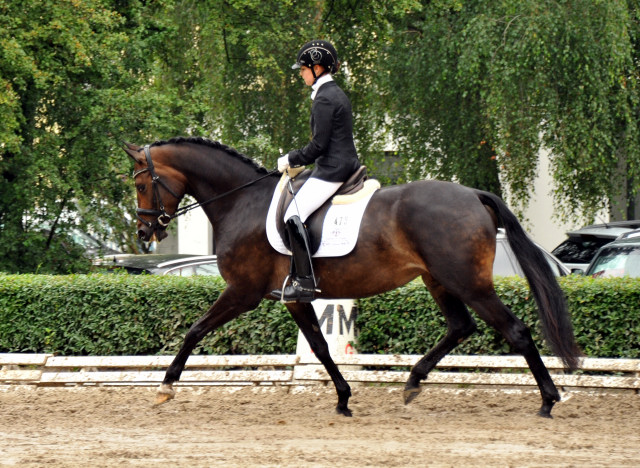 Karmencita v. Insterburg u.d. Pr.u.StPrSt. Karena v. Freudenfest - im Juli 2011 Foto: Beate Langels - Trakehner 
Gestt Hmelschenburg