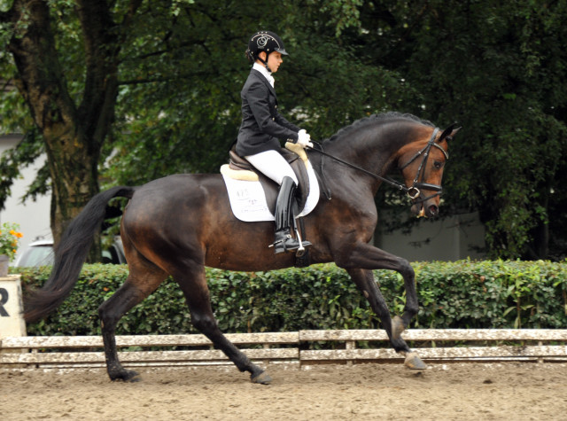 Karmencita v. Insterburg u.d. Pr.u.StPrSt. Karena v. Freudenfest - im Juli 2011 Foto: Beate Langels - Trakehner 
Gestt Hmelschenburg