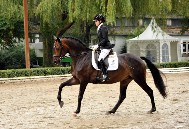 Karmencita v. Insterburg u.d. Pr.u.StPrSt. Karena v. Freudenfest - im Juli 2011 Foto: Beate Langels - Trakehner 
Gestt Hmelschenburg