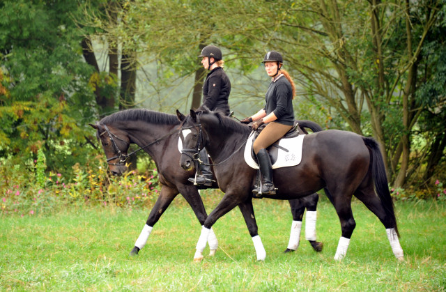 Hmelschenburg - im September 2013, Foto: Beate Langels, Trakehner Gestt Hmelschenburg - Beate Langels