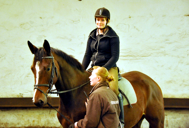 Ende September 2013 - Karalino von Summertime u.d. Karalina v. Exclusiv - Foto: Beate Langels, Trakehner Gestt Hmelschenburg