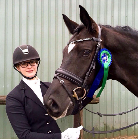 Ehramo von Alter Fritz x Kostolany und Aileen im Februar 2016 - Foto: Kluge - Trakehner Gestt Hmelschenburg