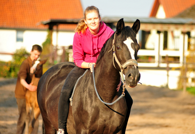 Elitestute Greta Garbo v. Alter Fritz x Kostolany - Gestt Hmelschenburg Beate Langels - Foto: Beate Langels