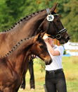 Juli 2019 - Impressionen - Trakehner Gestt Hmelschenburg 2019 - Foto: Beate Langels