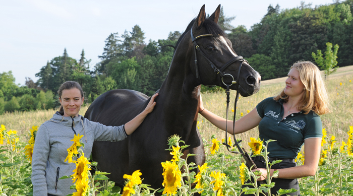 Saint Cyr mit Pia und Pauline - Foto: Beate Langels - 
Trakehner Gestt Hmelschenburg