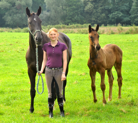 Johanna mit Vittoria und deren Fohlen von Touch my Heart - 28. August 2015 - Foto Beate Langels - Gestt Hmelschenburg