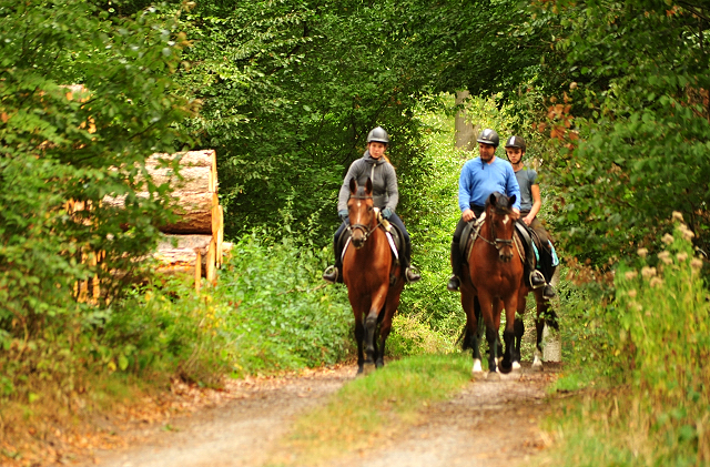 Ausritt mit Kabriola, Barinja und Schwalbenland - Trakehner Gestt Hmelschenburg - Foto: Beate Langels