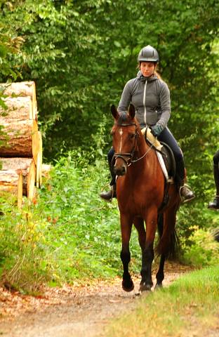 Ausritt mit Kabriola, Barinja und Schwalbenland - Trakehner Gestt Hmelschenburg - Foto: Beate Langels