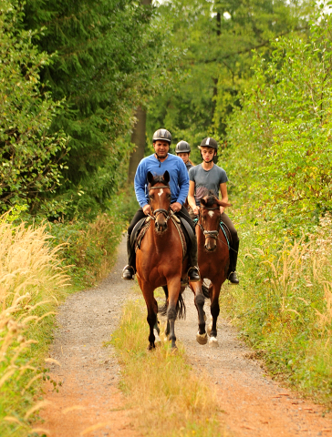 Ausritt mit Kabriola, Barinja und Schwalbenland - Trakehner Gestt Hmelschenburg - Foto: Beate Langels