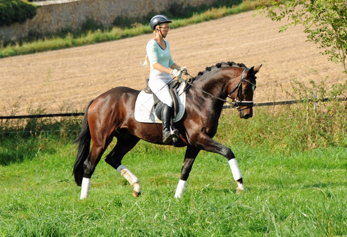 Valdivio mit Jasmin  - Foto Beate Langels - Gestt Hmelschenburg