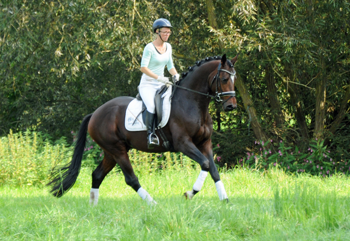 Valdivio mit Jasmin  - Foto Beate Langels - Gestt Hmelschenburg