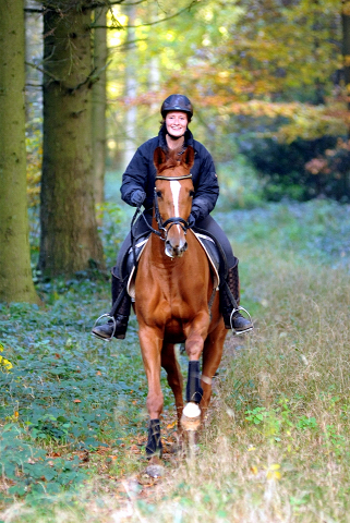 Ausritt mit den 3jhrigen BE FAIR und APOLLO sowie der 4jhrigen KITTY am 28.10.2015  - Foto Beate Langels - Trakehner Gestt Hmelschenburg