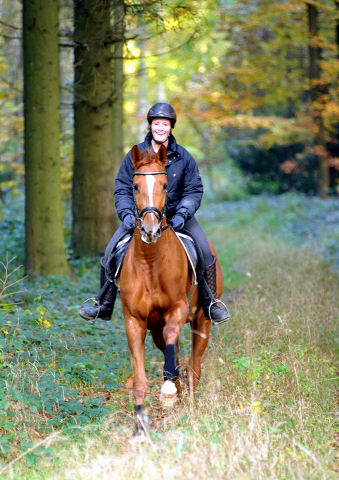 Ausritt mit den 3jhrigen BE FAIR und APOLLO sowie der 4jhrigen KITTY am 28.10.2015  - Foto Beate Langels - Trakehner Gestt Hmelschenburg