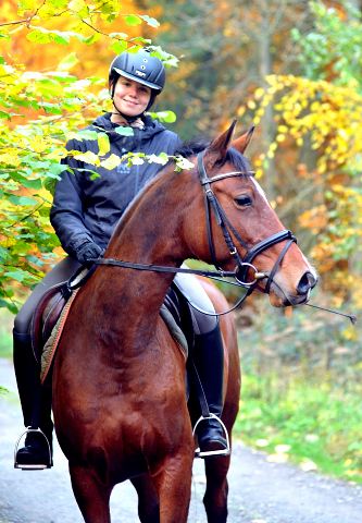 Ausritt mit der 4jhrigen KITTY am 28.10.2015  - Foto Beate Langels - Trakehner Gestt Hmelschenburg