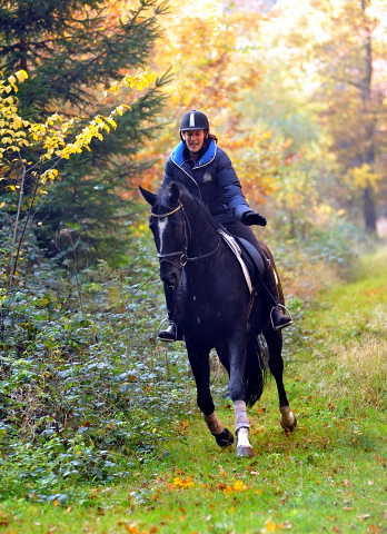 Ausritt am 28.10.2015  - Foto Beate Langels - Trakehner Gestt Hmelschenburg