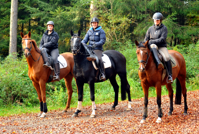 Ausritt mit den 3jhrigen BE FAIR und APOLLO sowie der 4jhrigen KITTY am 28.10.2015  - Foto Beate Langels - Trakehner Gestt Hmelschenburg