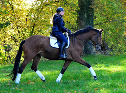 Trakehner Stute von Honor du Soir u.d. Pr.u.StPrSt. Karena v. Freudenfest - Gestt Hmelschenburg - Beate Langels