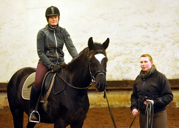 Schwalbensiegel von Kostolany u.d. Pr.,StPr. u. Elitestute Schwalbenspiel v. Exclusiv - Foto: Beate Langels - Zchter : Trakehner Gestt Hmelschenburg