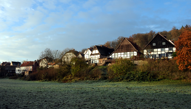 27. November 2021 in Hmelschenburg  - Foto: Beate Langels - Trakehner Gestt Hmelschenburg