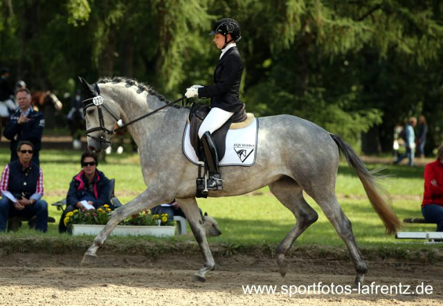 Reitpferdechampion - Perano von Hofrat - Herzzauber (4jhrig)  - Beate Langels - Gestt Hmelschenburg