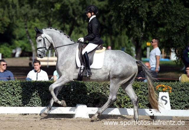 Reitpferdechampion - Perano von Hofrat - Herzzauber (4jhrig) - Foto Stefan Lafrentz