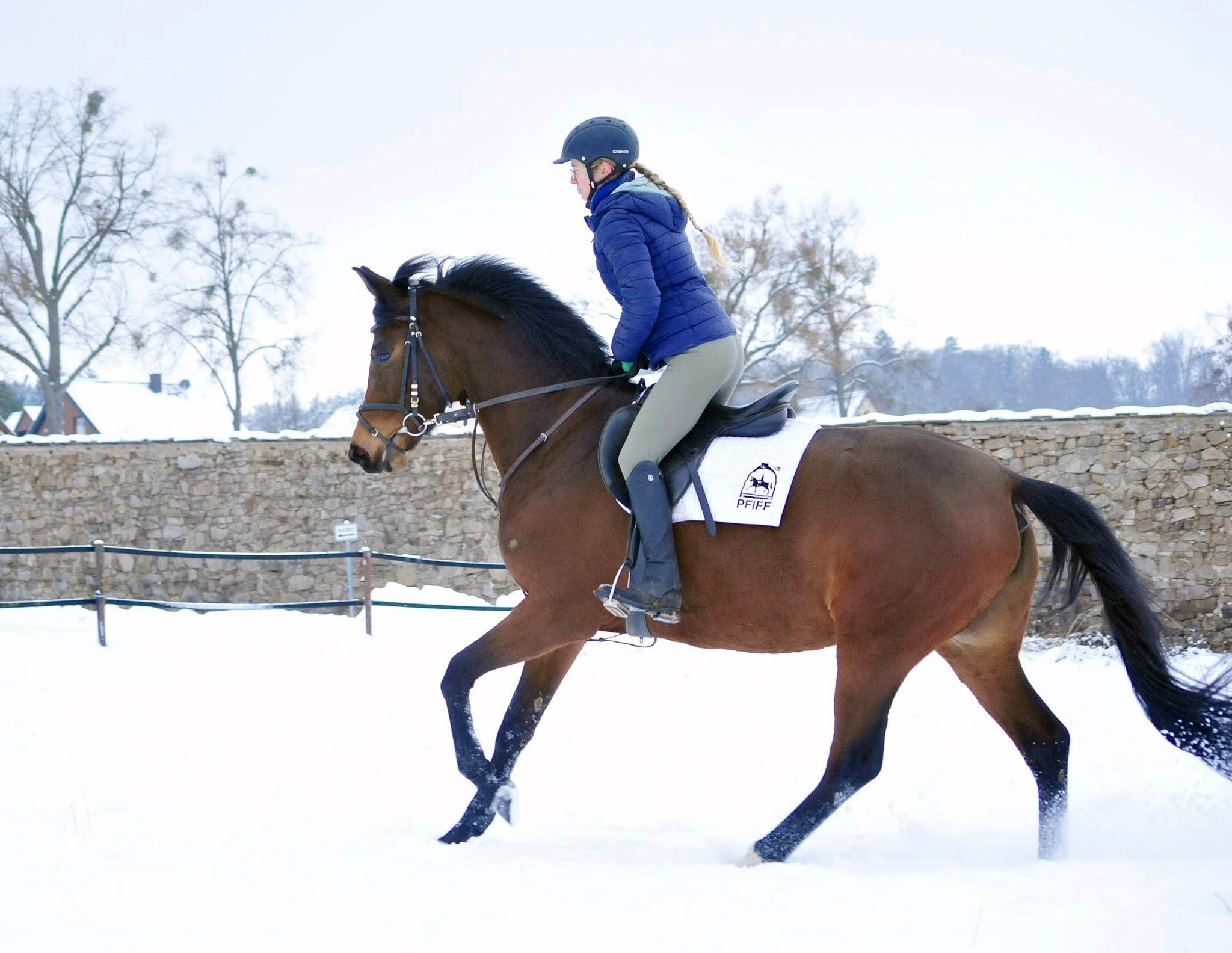 Stute v. Sch�pitzer u.d. Pr.St. Schwalbe's Beauty v. High Motion - Foto: Beate Langels