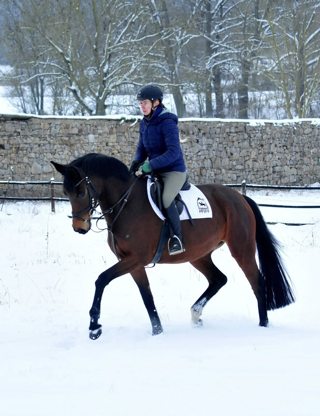 Stute v. Sch�pitzer u.d. Pr.St. Schwalbe's Beauty v. High Motion - Foto: Beate Langels