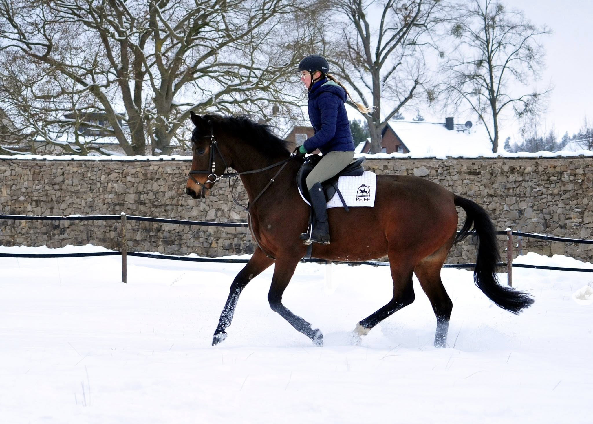 Stute v. Sch�pitzer u.d. Pr.St. Schwalbe's Beauty v. High Motion - Foto: Beate Langels