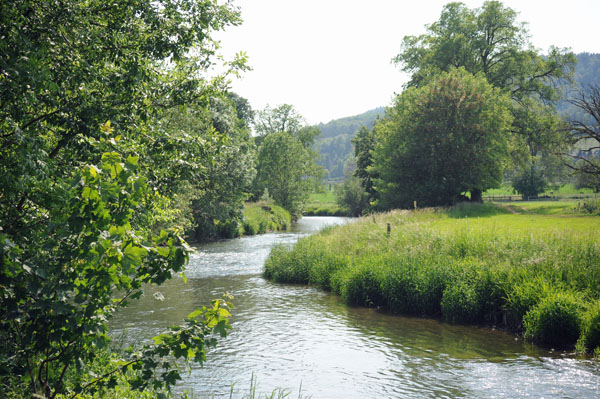 Beate Langels - Trakehner Gestt Hmelschenburg