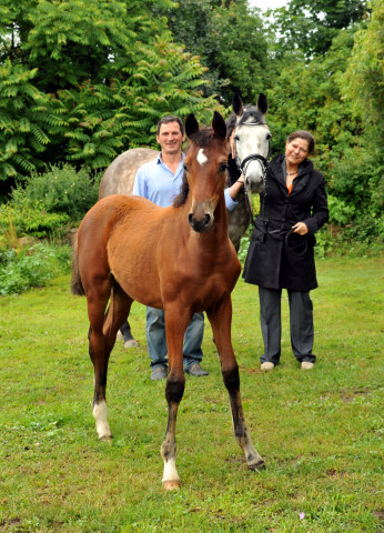 Stutfohlen von Oliver Twist u.d. Teatime v. Summertime - copyright Beate Langels, Trakehner Gestt Hmelschenburg