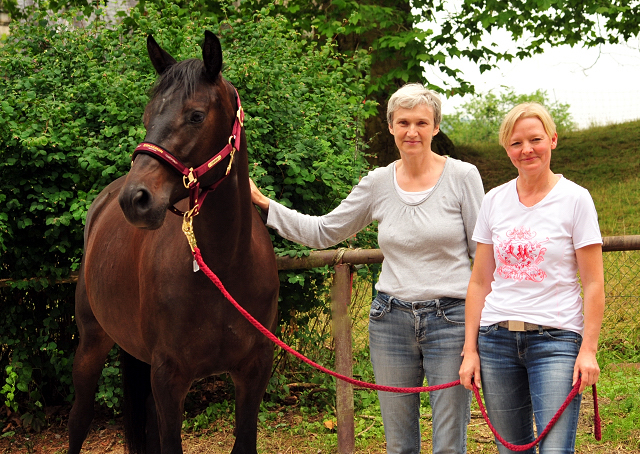 Kaisermelodie von Enrico Caruso im  Juni 2017 - Foto: Beate Langels -  Trakehner Gestt Hmelschenburg