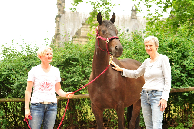 Kaisermelodie von Enrico Caruso im  Juni 2017 - Foto: Beate Langels -  Trakehner Gestt Hmelschenburg