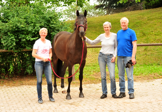 Kaisermelodie von Enrico Caruso im  Juni 2017 - Foto: Beate Langels -  Trakehner Gestt Hmelschenburg