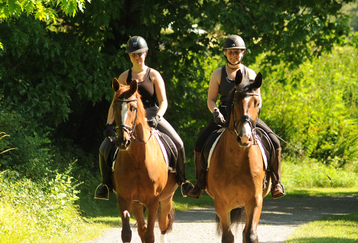 Elea und unsere Prmien- u. Staatsprmienstute Kavalou v. Shavalou - Trakehner Gestt Hmelschenburg - Foto: Langels