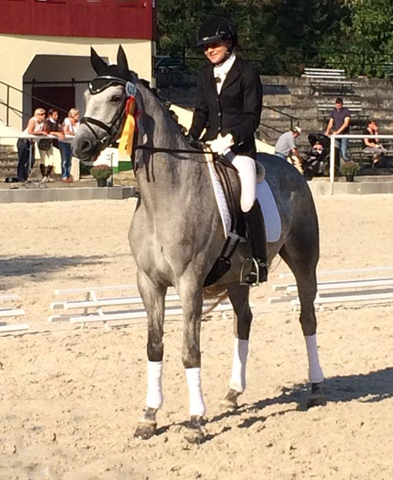 Reitpferdechampion - Perano von Hofrat - Herzzauber (4jhrig) - Foto Beate Langels