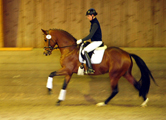 November u. Dezember -Impressionen - Trakehner Gestt Hmelschenburg 2017 - Foto: Beate Langels