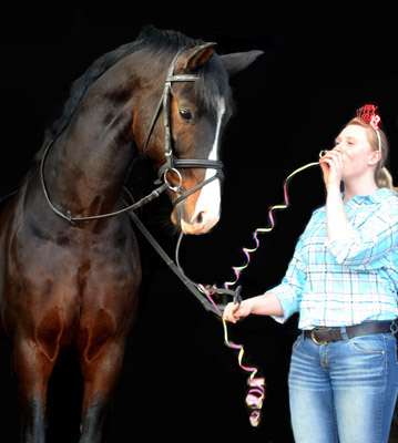 Trakehner Prmienhengst Shavalou v. Freudenfest - Exclusiv mit Marilena - Jahreswechsel 2011/2012 - Trakehner Gestt Hmelschenburg