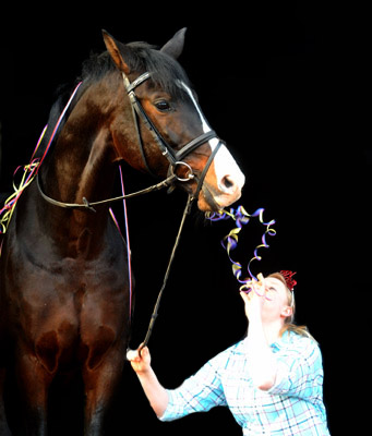 Trakehner Prmienhengst Shavalou v. Freudenfest - Exclusiv mit Marilena - Jahreswechsel 2011/2012 - Trakehner Gestt Hmelschenburg