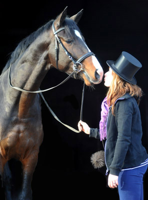 Jahreswechsel 2011 - Trakehner Gestt Hmelschenburg