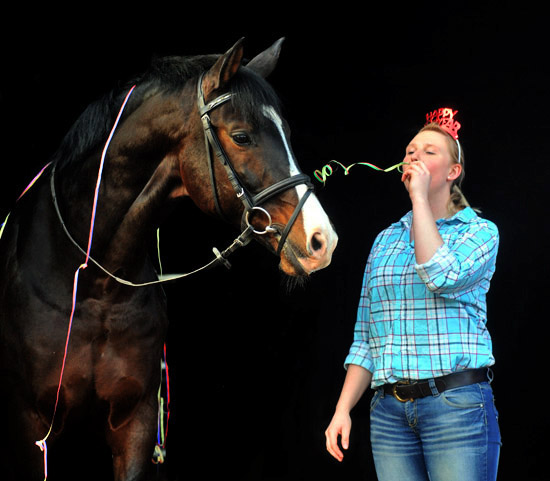 Trakehner Prmienhengst Shavalou v. Freudenfest - Exclusiv mit Marilena - Jahreswechsel 2011/2012 - Trakehner Gestt Hmelschenburg