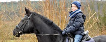 2jhriger von Ruffian Reef xx - Foto: Beate Langels - Trakehner Gestt Hmelschenburg